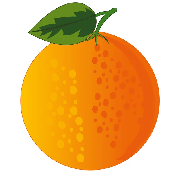 Фруктовий апельсин на білому тлі ізольований — стоковий вектор