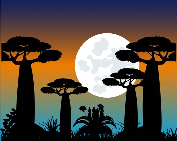 Tree baobab at moon in the night — Stock Vector