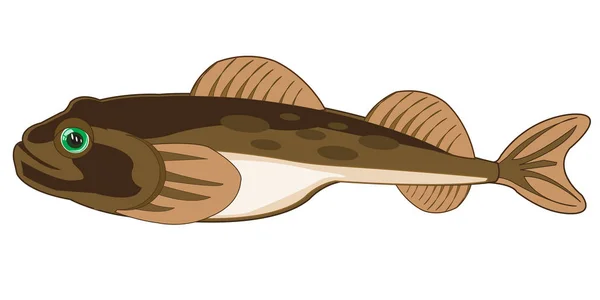 Pesce goby su sfondo bianco è isolato — Vettoriale Stock