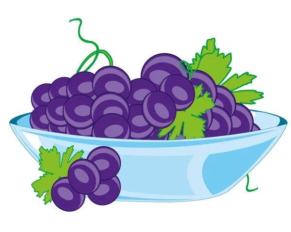 Plate with grape on white background is insulated — Stock Vector