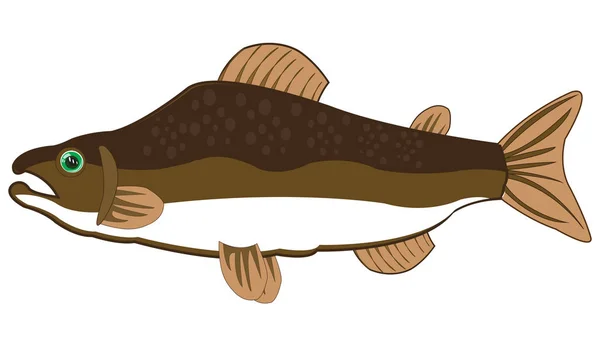 Saumon de poisson sur fond blanc est isolé — Image vectorielle