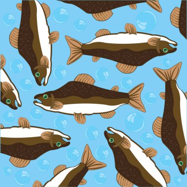 Değerli balık somon ve kabarcık hava vektör Illustration