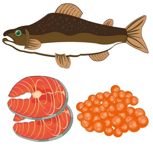 Ilustração vetorial de peixes do tipo salmão e carne com corça — Vetor de Stock