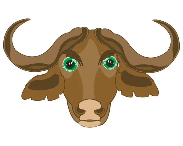 Head animal buffalo on white background is insulated — Stock Vector