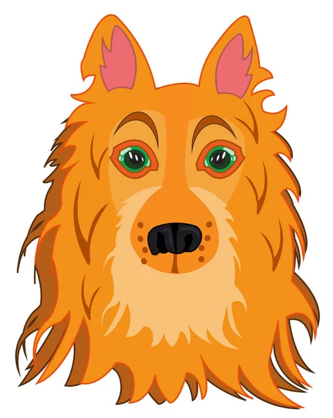 Vector illustration of the mug of the dog of the sort collie — Stock Vector