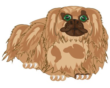 Tür pekingese köpek Vektör illüstrasyon