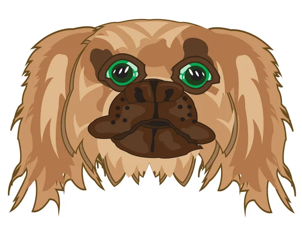 Ilustración vectorial de la taza del perro pekinés — Archivo Imágenes Vectoriales