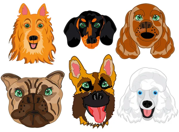 Vector illustration portrait dogs of the varied sorts — Stock Vector