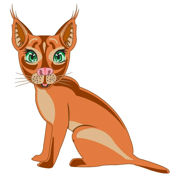 Steepe trot caracal on white background is insulated — Stock Vector