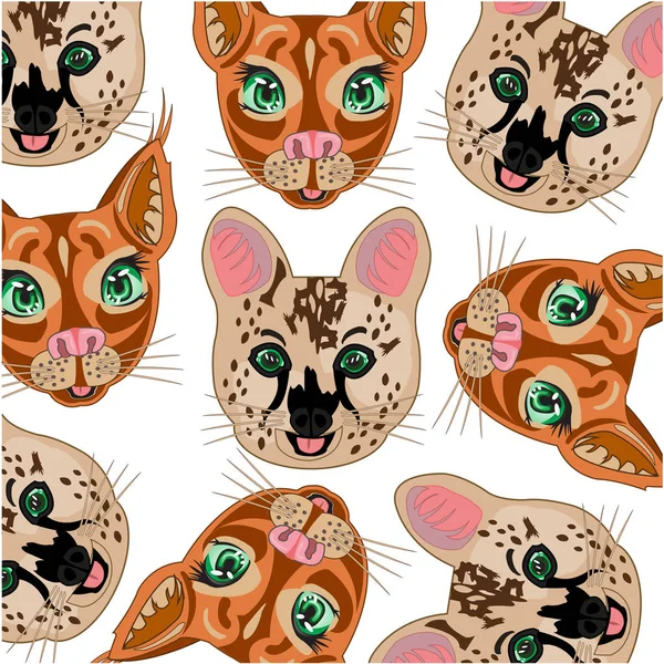 Tassen Cat Serval und Caracal dekorative Muster — Stockvektor