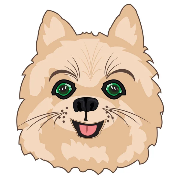Vector illustratie van het portret van de hond Spitz — Stockvector