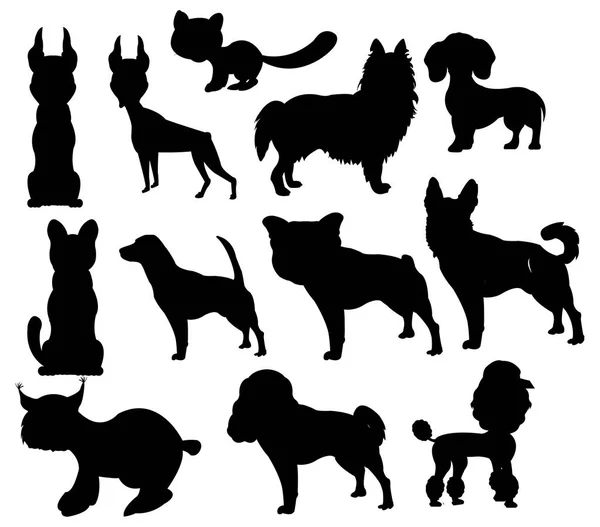 Silhouettes pets on white background is insulated — Stock Vector