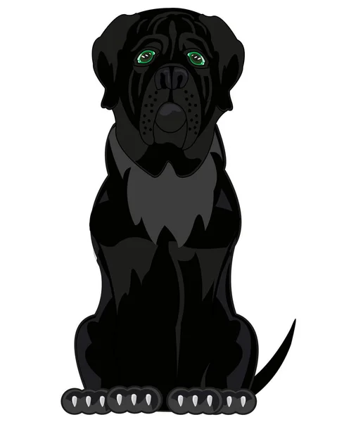 Ilustração vetorial do desenho animado do mastim de cão preto — Vetor de Stock