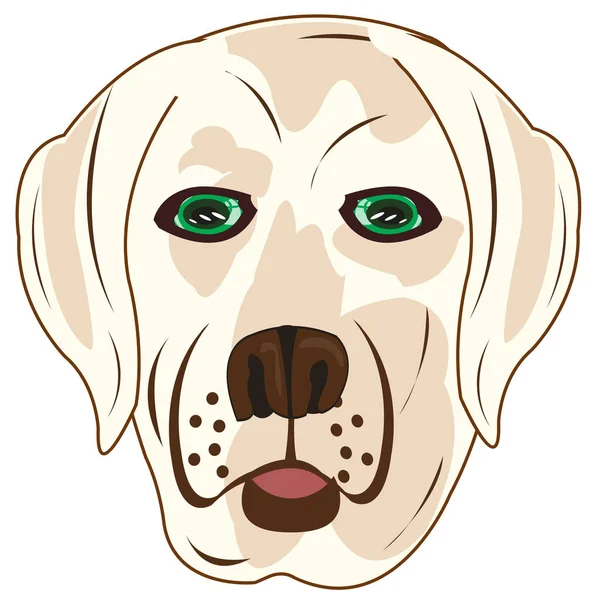 Vector illustratie van de mok van de hond Labrador — Stockvector