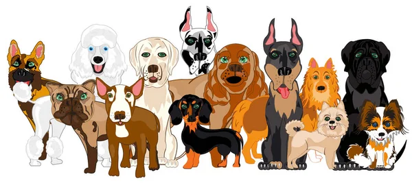 Vector illustration of the group of the dogs of the varied sorts — Stock Vector