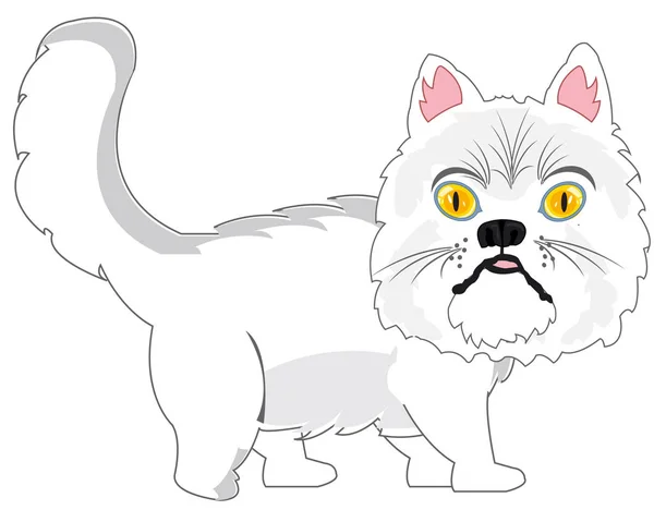 Persisk katt på vit bakgrund är isolerad — Stock vektor