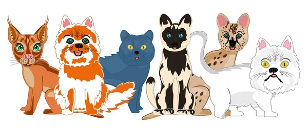 Ilustração vetorial dos animais de estimação desenhos animados tipo gato —  Vetores de Stock