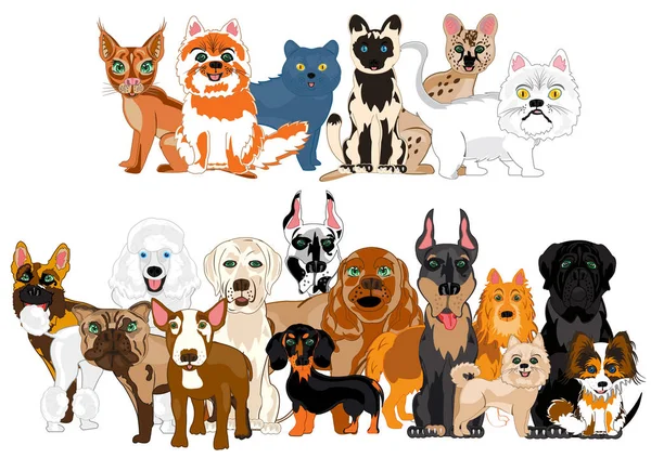 Vector illustration ensemble sorts cat and dogs — Stock Vector