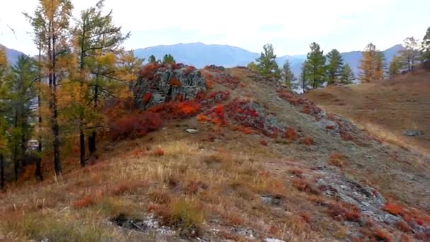 Panorama hor a dřeva počátkem podzimu — Stock video