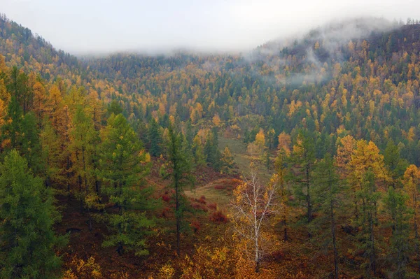 Kolorowy i jasny krajobraz jesienny poranek w górach — Zdjęcie stockowe