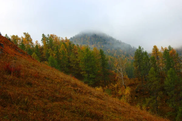 Sonbahara kadar dağlık arazide güzel doğa — Stok fotoğraf
