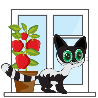 Dairenin penceresi ve güzel siyah kedi