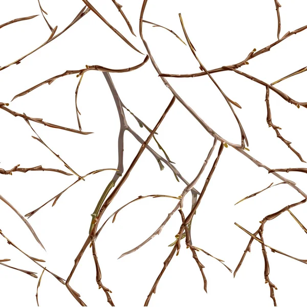 光秃秃的树枝没有叶子 深秋的无缝模式 在白色查出的向量背景插图 — 图库矢量图片
