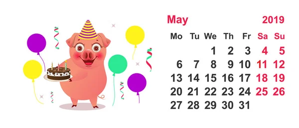 Calendar May 2019 Funny Pig Holds Birthday Cake Vector Cartoon — Stock Vector