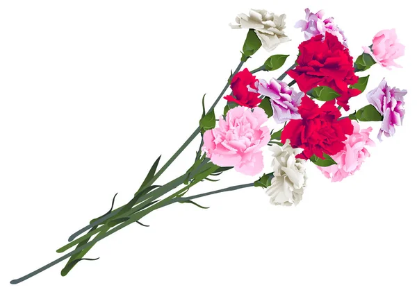 Ramo de flores de clavel rojo, blanco y rosa aislado sobre fondo blanco — Vector de stock