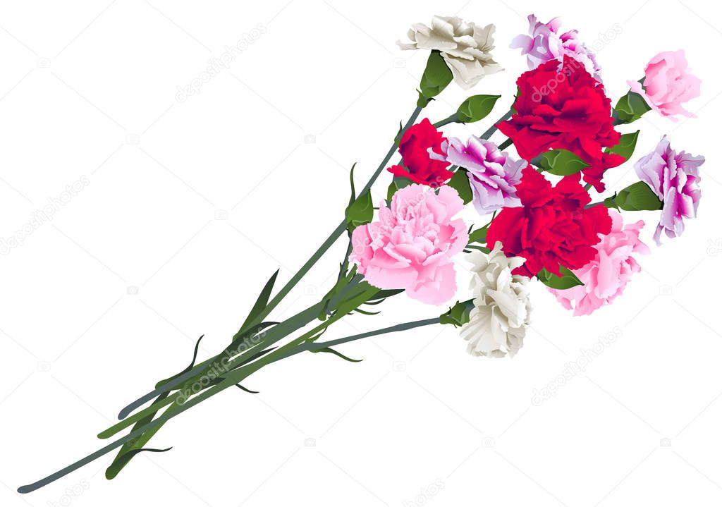 Red, white and pink carnation flowers bouquet isolated on white background