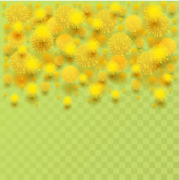 Gele Mimosa Acacia Pluizig Bloemblaadjes Transparante Achtergrond Vector Illustratie Wenskaartsjabloon — Stockvector