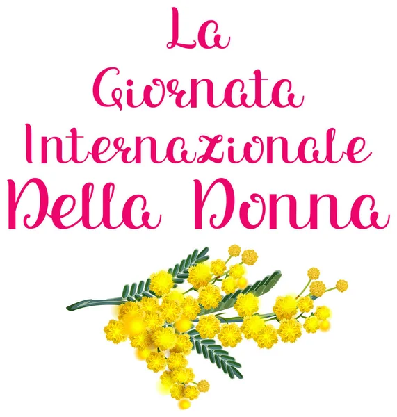 Giornata Internazionale Della Donna Italia Vacanza Giallo Acacia Mimosa Donna — Vettoriale Stock