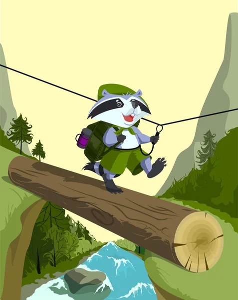 Scout Raccoon gaat op een log. Het oversteken van de berg rivier — Stockvector