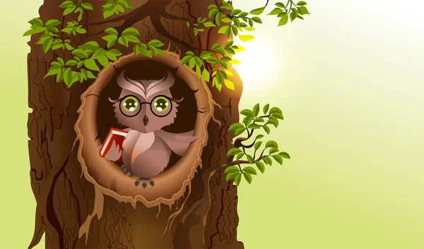 Мудрі сови з книгою в порожнистих дерев. День знань — стоковий вектор
