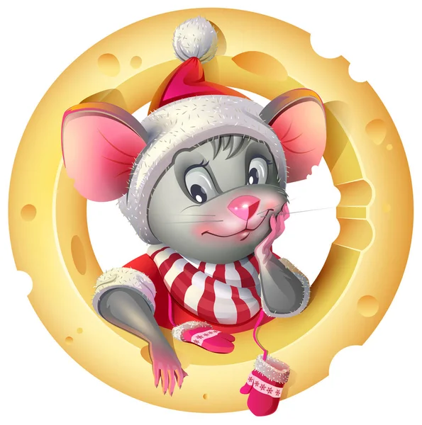 Niedliche Maus im Weihnachtsmannkostüm posiert auf Käsehintergrund. Rattenmaus-Symbol des Jahres 2020 — Stockvektor