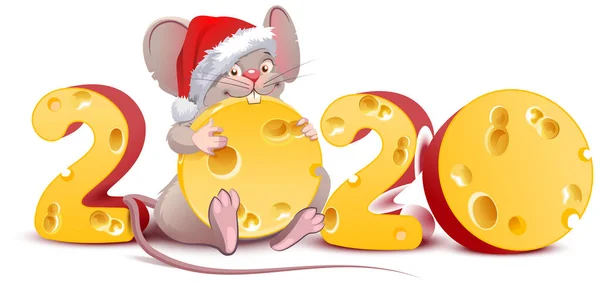2020 year of mouse to Chinese calendar. Santa mouse holding swiss cheese — Stock Vector