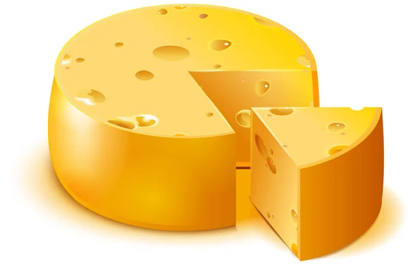 Cabeza grande de queso poroso duro y pieza cortada en rodajas aisladas en blanco — Vector de stock