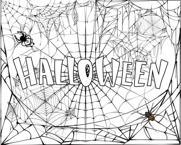 Bannière texte Halloween sur toile d'araignée et fond d'araignée isolé sur blanc — Image vectorielle