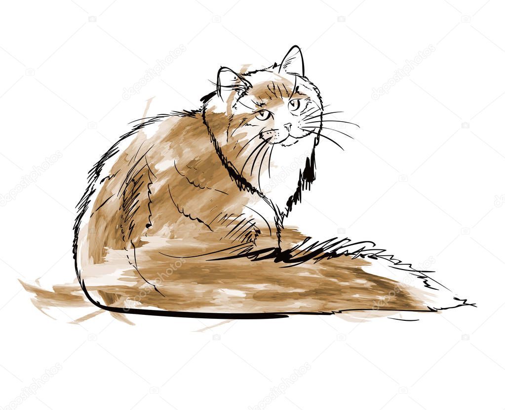 ice forest siberians