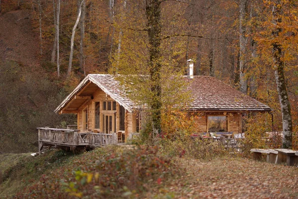 秋天树林里的小屋 — 图库照片