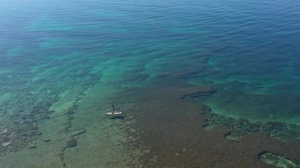 青い海で Sup ボードを漕ぐ女性 — ストック動画