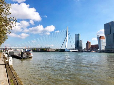 Rotterdam, Hollanda - 30 Eylül 2018: panoramik Rotterdam ve Erasmus Köprüsü