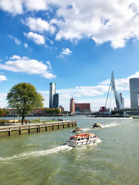 Панорама міста Роттердам — стокове фото