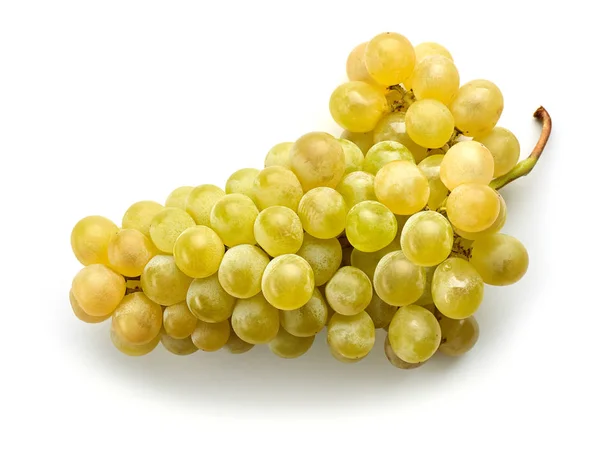 Ripe Green Grape Isolated White Background — Stock Photo, Image