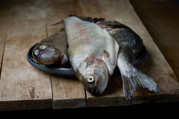 Färska råa fiskar — Stockfoto