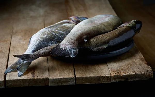 Verse ruwe vissen — Stockfoto