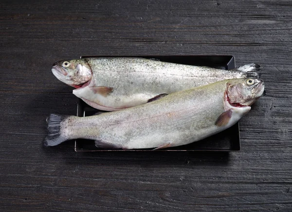 신선한 원시 물고기 — 스톡 사진