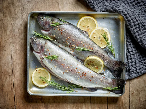 Dois peixes de truta crua — Fotografia de Stock