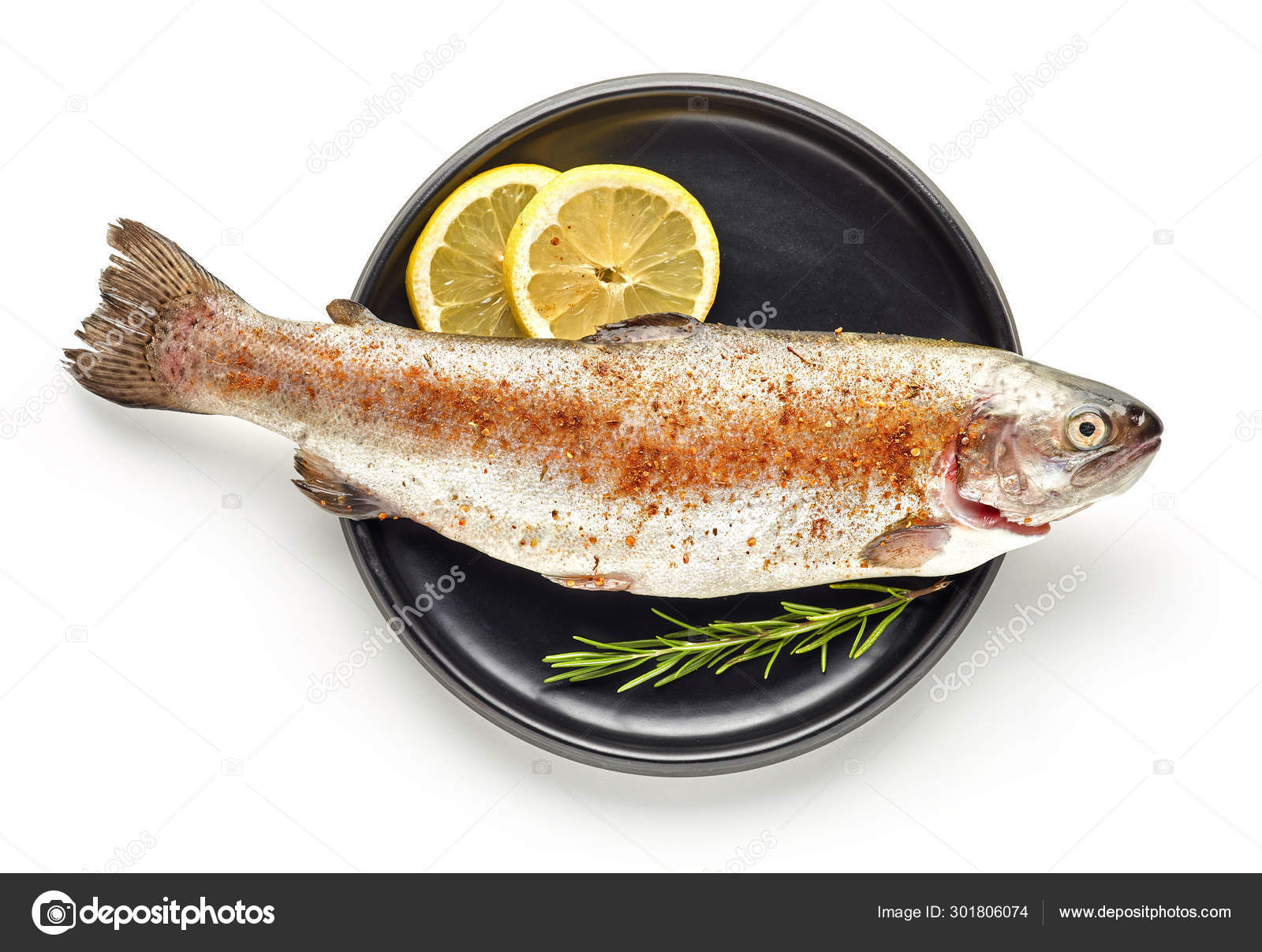 魚写真素材 ロイヤリティフリー魚画像 Depositphotos
