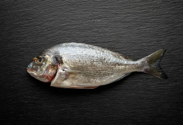新鲜的生鱼 — 图库照片